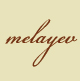 melayev solutions design and development